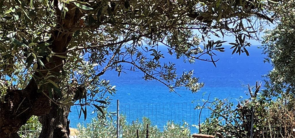 Εξάμηνη παράταση στις παρεκκλίσεις για τα μικρά εκτός σχεδίου οικόπεδα Εξάμηνη παράταση στις παρεκκλίσεις για τα μικρά εκτός σχεδίου οικόπεδα